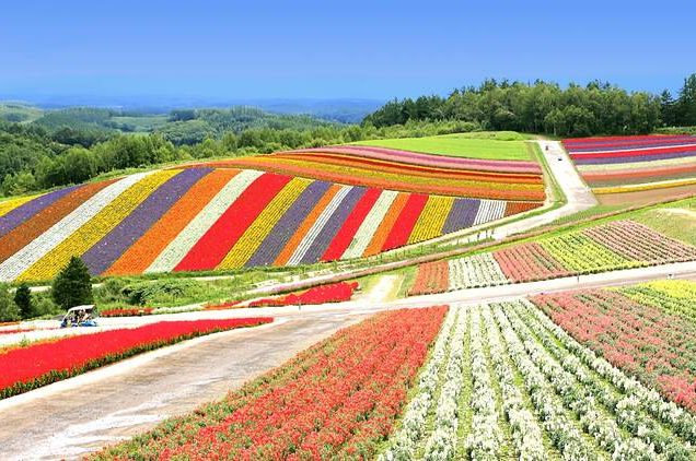 SIC Trip Bangkok – Khao Yai 4D3N