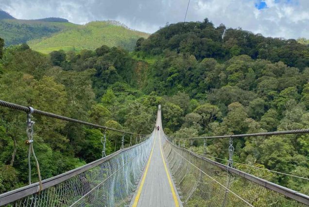 Ciwidey One Day Tour – Sehari Penuh Petualangan & Relaksasi di Alam Bandung Selatan