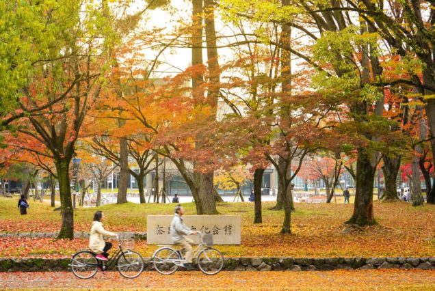 Autumn Vibes Jepang: 6 Hari Jelajah Kansai & Serunya Universal Studio Japan!