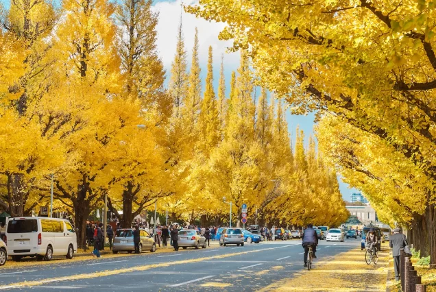 5D4N Autumn Greater Tokyo + Disneyland: Eksplorasi Keindahan Musim Gugur Jepang, dari Tradisi hingga Fantasi!